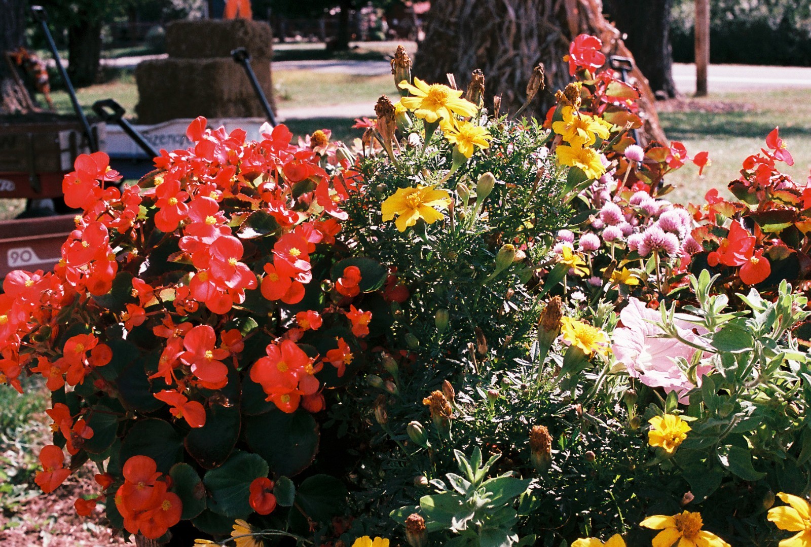Aerostar 35mm maskless color film on Kodak Aerocolor IV base, C-41 or E-6 process