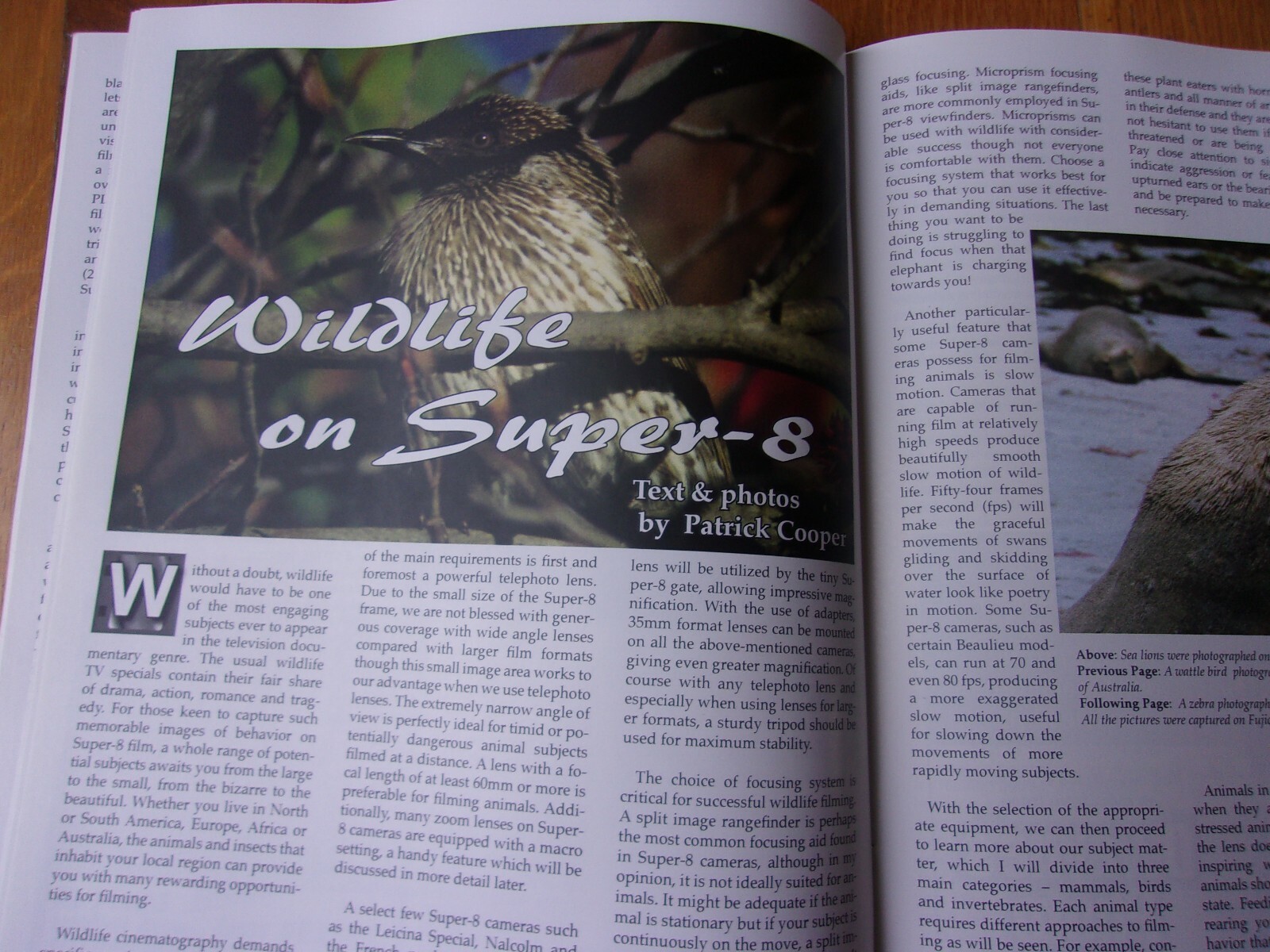 Super 8 Today Magazine issue #3, March 2006, cover