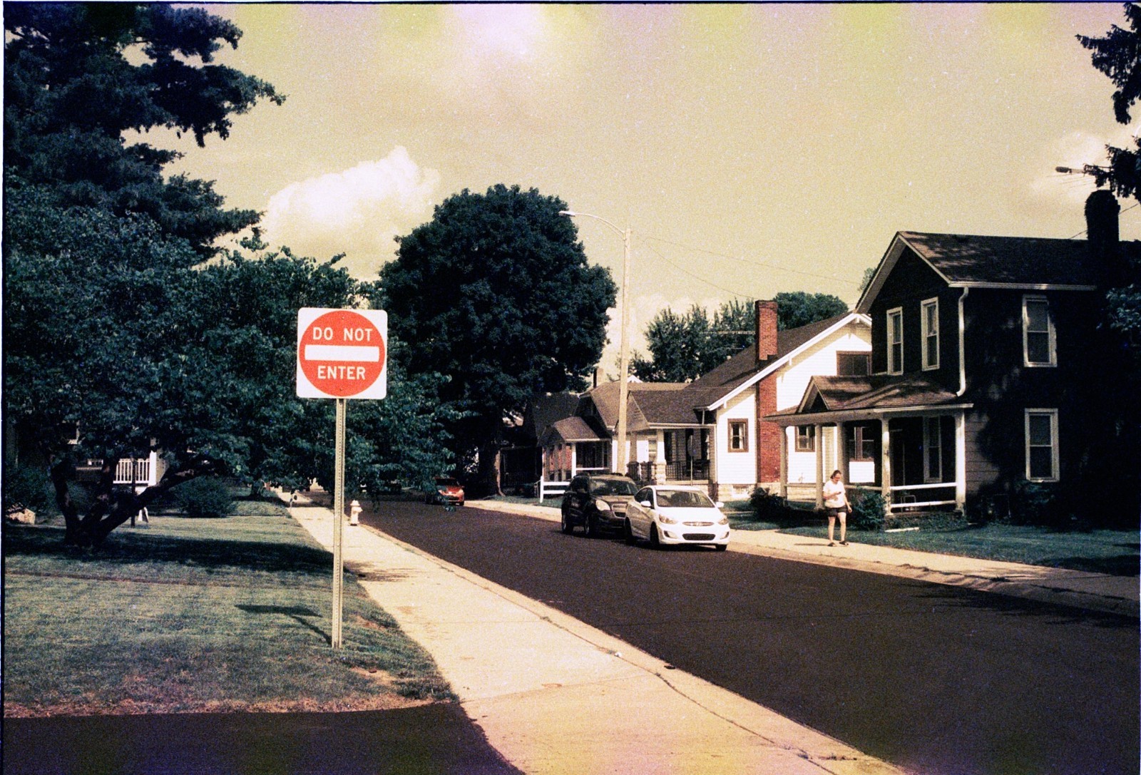 The Venus Project ISO 100 color negative 35mm experimental film