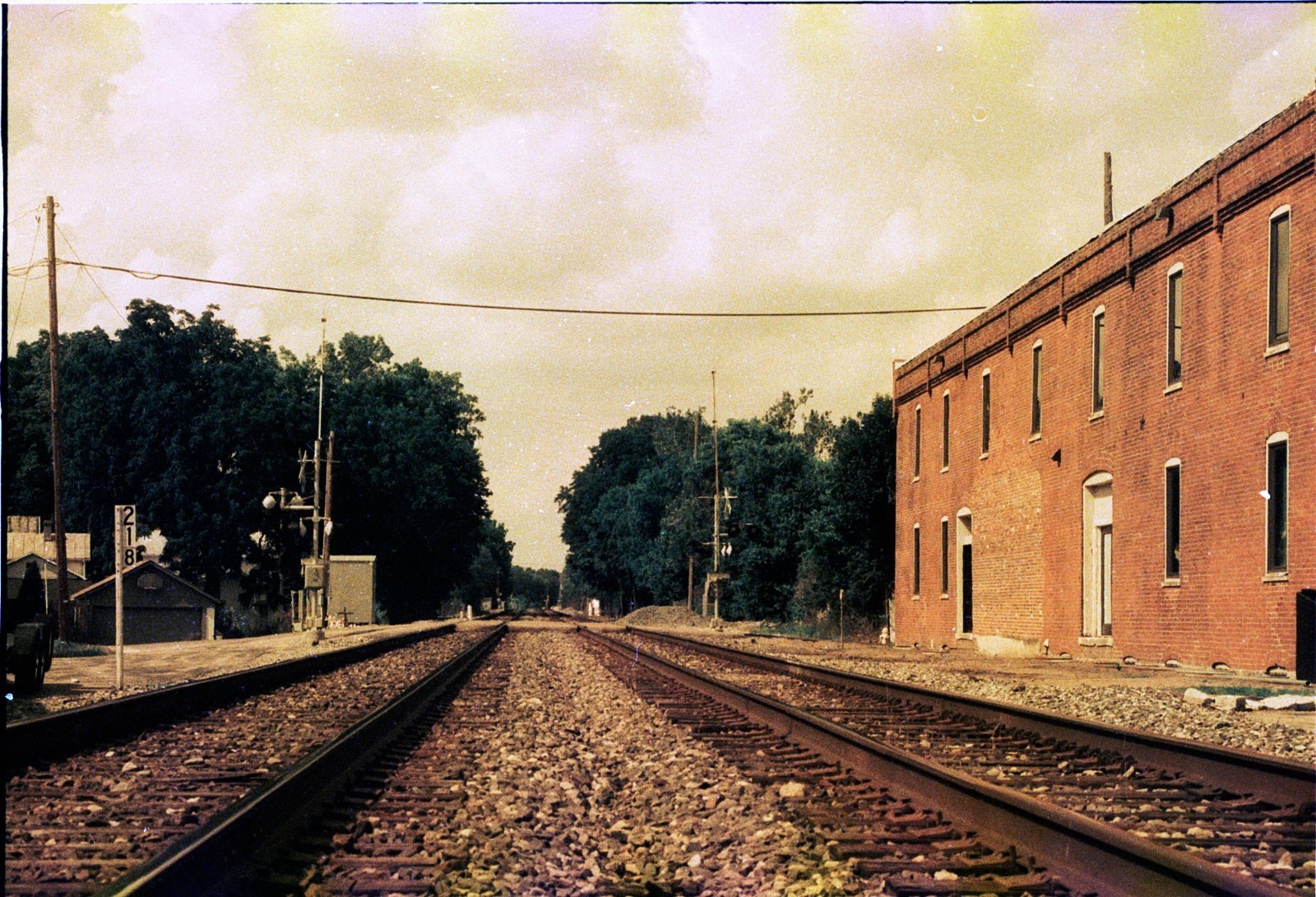The Venus Project ISO 100 color negative 35mm experimental film