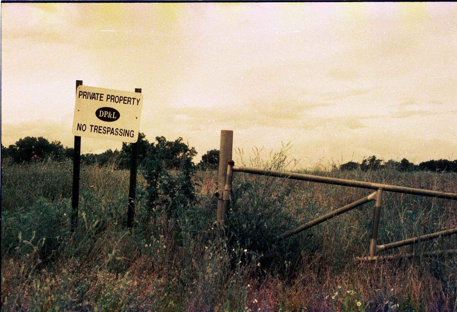 The Venus Project ISO 100 color negative 35mm experimental film