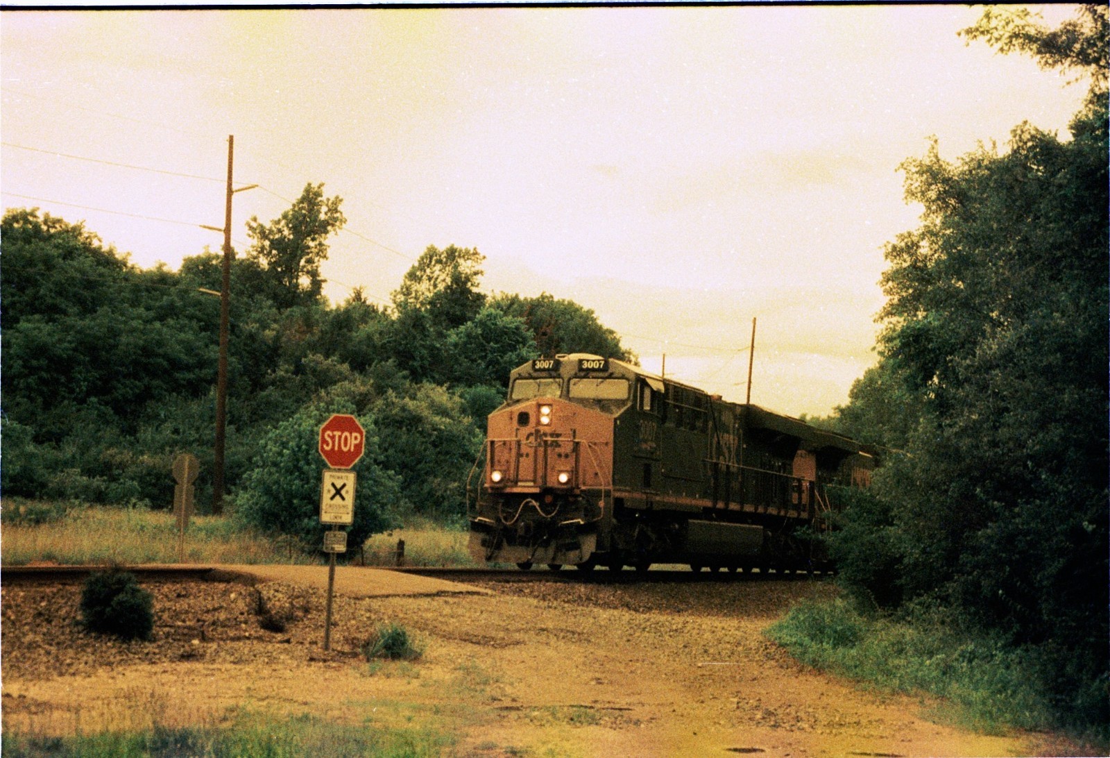 The Venus Project ISO 100 color negative 35mm experimental film