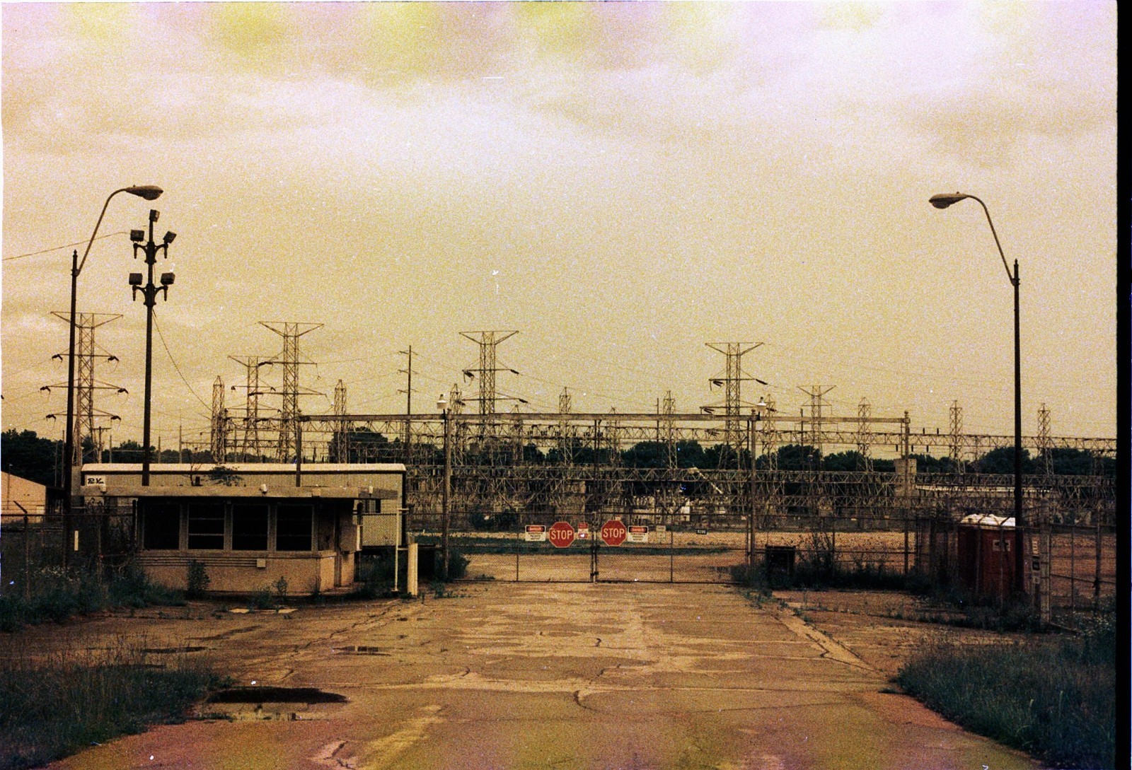 The Venus Project ISO 100 color negative 35mm experimental film