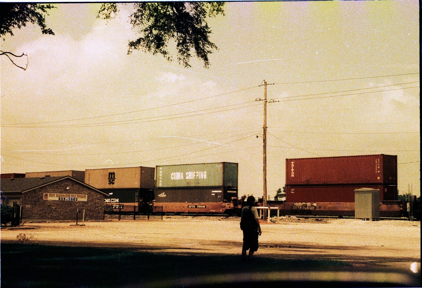 The Venus Project ISO 100 color negative 35mm experimental film