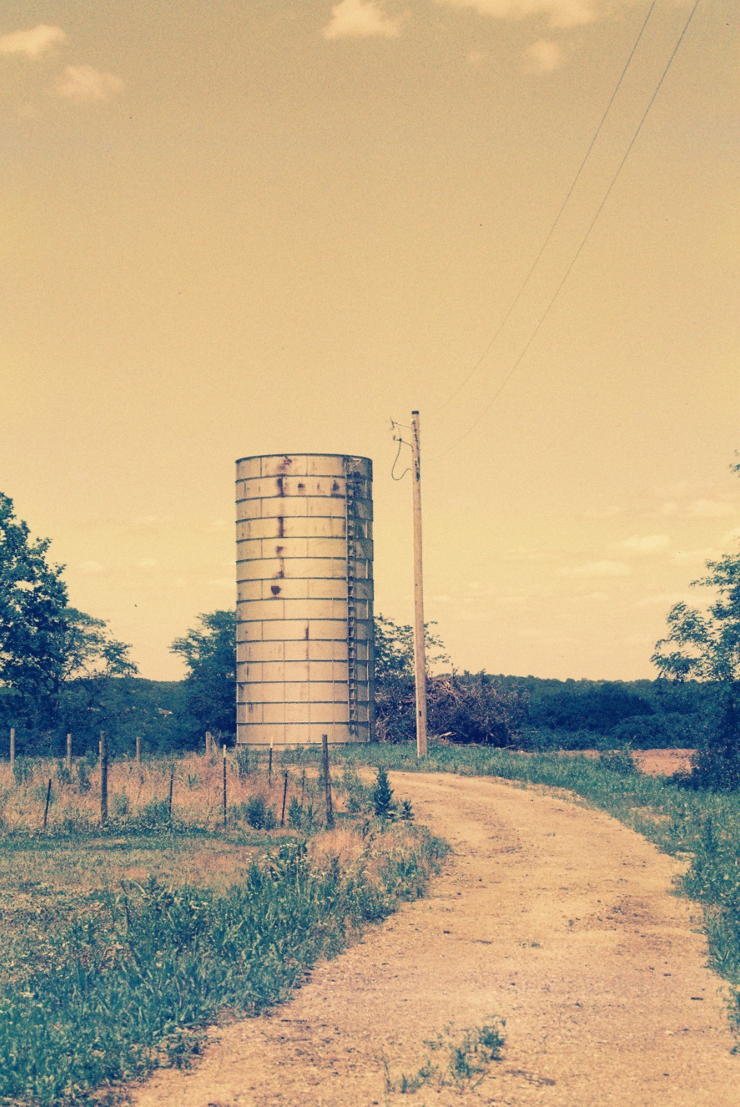 The Venus Project ISO 100 color negative 35mm experimental film