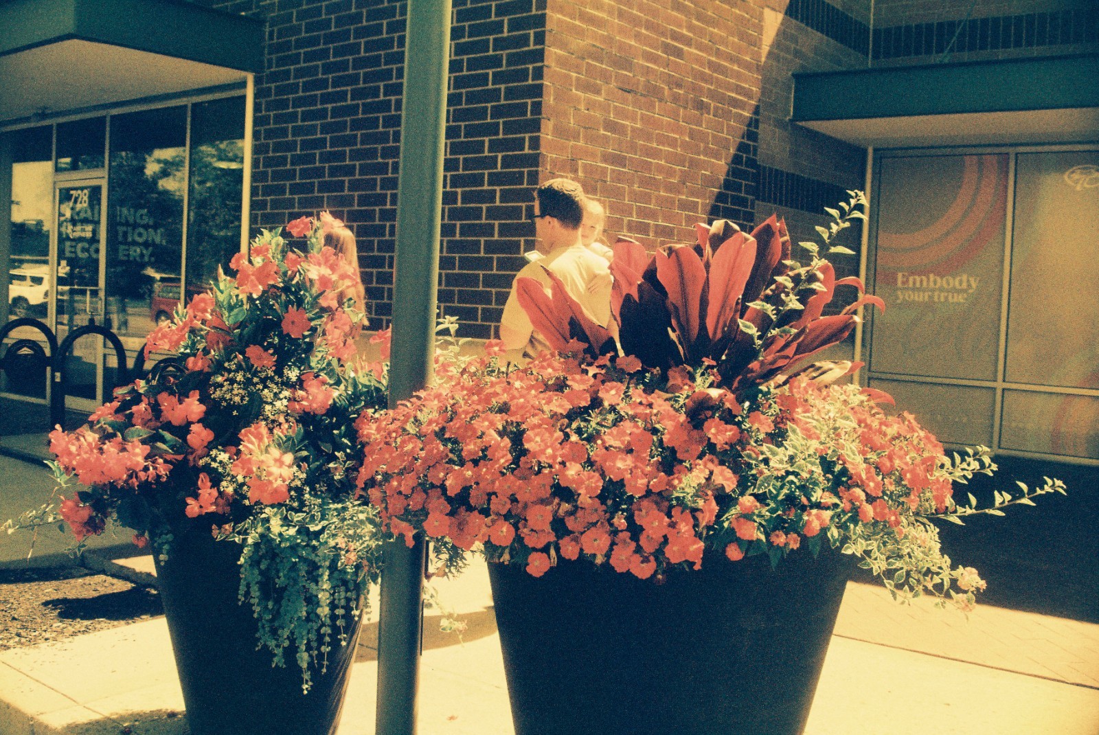 The Venus Project ISO 100 color negative 35mm experimental film
